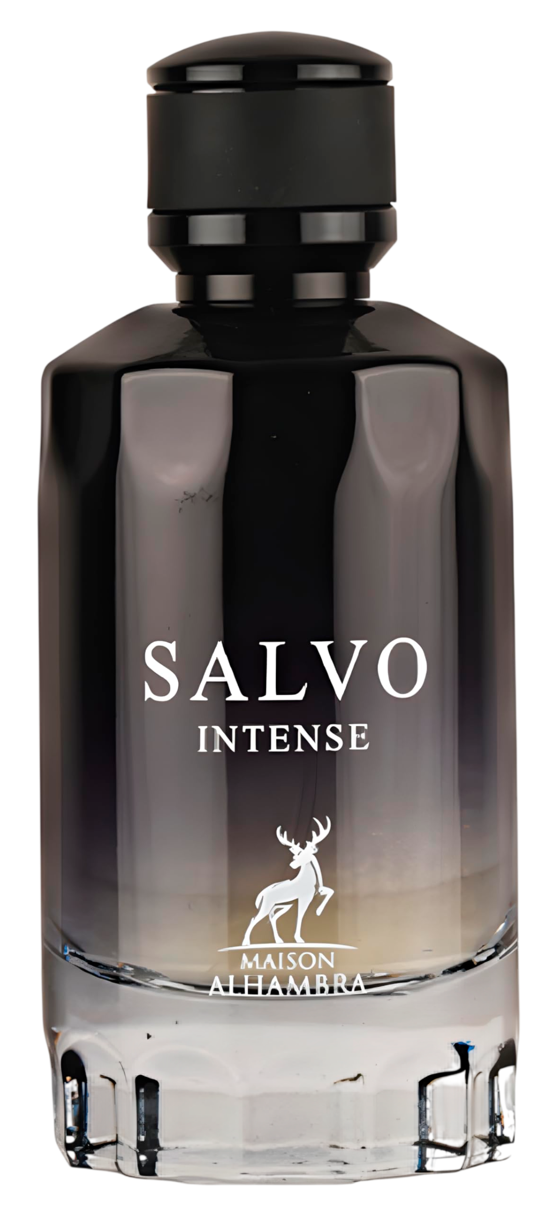 Salvo Intense